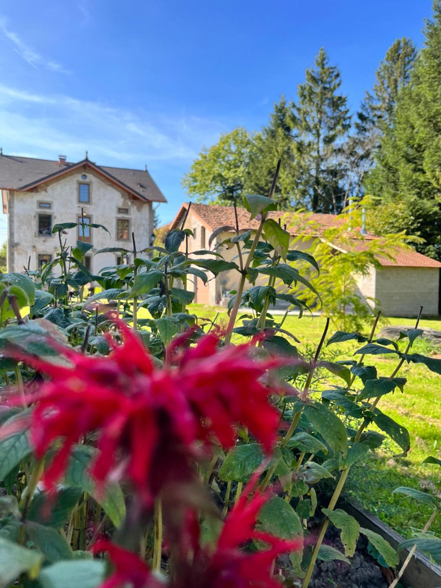 Chambre D'Hote Cosy Domaine Du Bagnerot La Chapelle-aux-Bois Kültér fotó